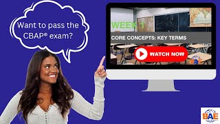 What are the BABOK Key Terms? Business Analyst Course | BABOK v3 Study Group | Week 1