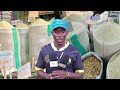 KUMECHANGAMKA MUUZA MCHELE ACHUKUA FOMU YA UDIWANI RUVUMA KUMECHANGAMKA MUUZA MCHELE ACHUKUA FOMU YA UDIWANI RUVUMA