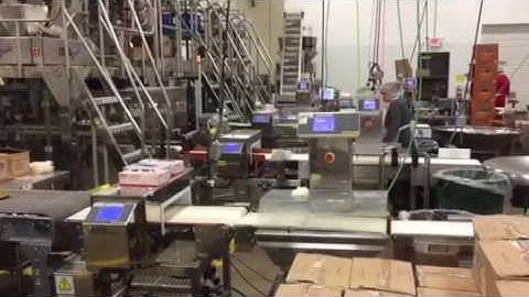 Rehoo check weigher and metal detector @USA