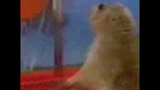 The Dramatic Chipmunk - Compilation