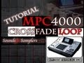 AKAI MPC4000 Crossfade Loop Tutorial (XFADE LOOPING)