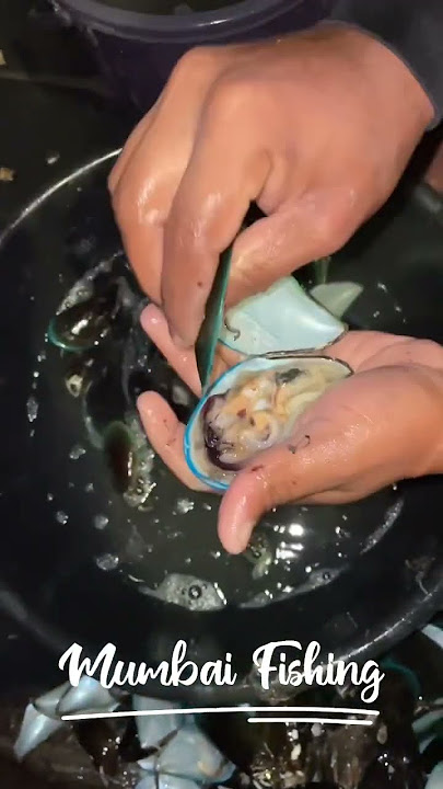 How to clean Green Mussels in 30 seconds | Mumbai Fishing |