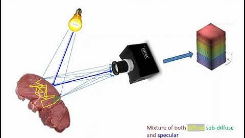 Lecture Dick Sterenborg Elastic Scattering Spectroscopy Part 2