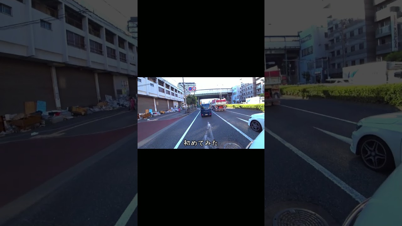 日本で初めて見た