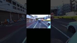 日本で初めて見た