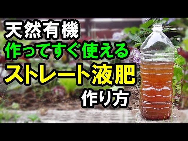 家庭菜園 有機 液体肥料 材料は3つだけ 作ってスグ野菜やお花に使える Npk高バランスのストレートタイプ有機液肥の作り方 Youtube