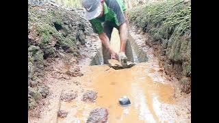 The ground is bonyok cracked'shovel in this location'screen trench use hoe