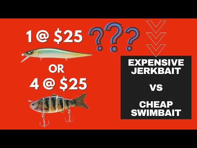 Expensive Jerkbait Vs. Cheap Swimbait Shore Fishing Battle. SURPRISING  Results. 