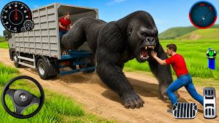 Wild Animal Cargo Transport Truck 🚛 Zoo Driving Simulator Android Gameplay
