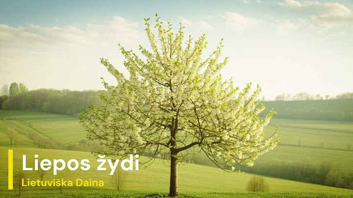 Liepos žydi (2025) - Lietuviška muzika