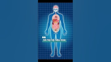 UỐNG CÀ PHÊ BUỔI SÁNG CÓ TỐT KHÔNG?