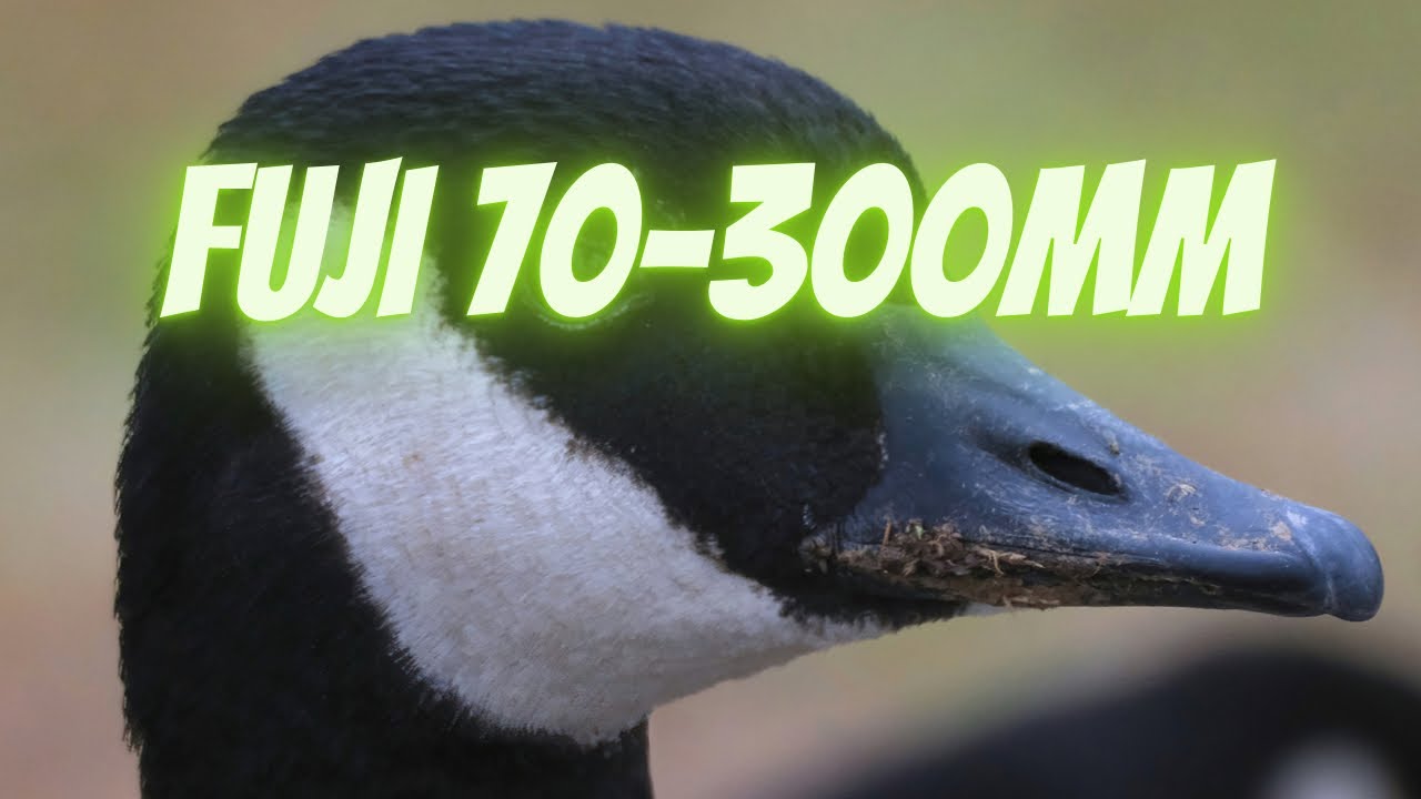 Fuji 70300mm Cinematic Video Stabilization test XT4 YouTube