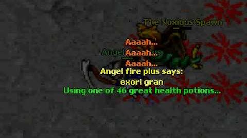 Tibia The Noxious Spawn