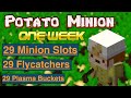 Profits From Potato Minions In One Week - Hypixel Skyblock