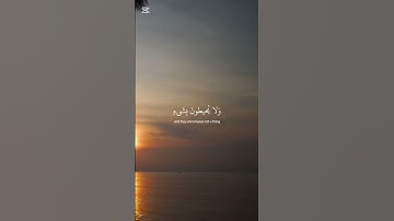 اية الكرسي - بصوت القارئ اسلام صبحي #قرآن #راحة_نفسية
