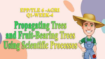 EPP/TLE 6  - Q 1 - WEEK 4 -  PROPAGATING TREES AND FRUIT-BEARING TREES USING SCIENTIFIC PROCESSES