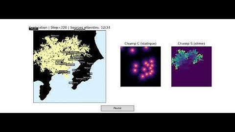 Physarum polycephalum simulation