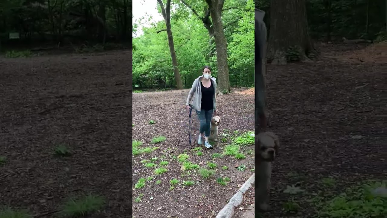 YouTube player