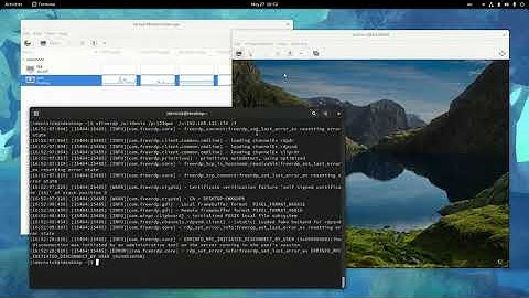 FreeRDP | Подключение удаленного рабочего стола к Windows из Linux с помощью клиентов | №1
