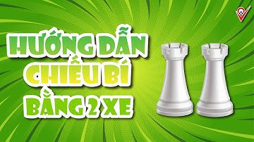 HƯỚNG DẪN CHIẾU BÍ BẰNG 2 QUÂN XE | Học cờ Vua cùng Cờ Vua Truyền Cảm Hứng