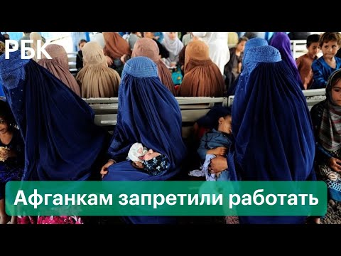 Vídeo: Com Trobar Un Company De Feina D’Afganistan