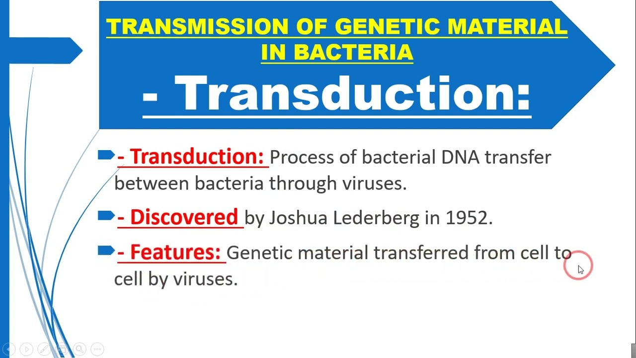 Transmission Of Genetic Material In Bacteria· Transduction: