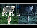 Wolf And Girl Photoshop Compositing Tutorial