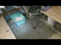 番外編 ～再び消えた子猫達～