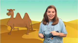 Sally The Camel Storytime Song