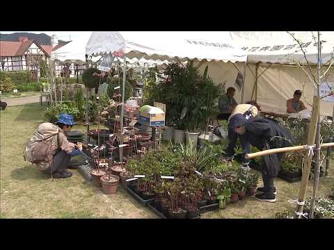 日本三大植木産地の一1つ　宝塚市で植木まつり