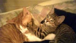 Maya And Vincent