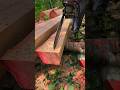 Buen filo😱😱#woodwork #chainsaw #asmrvideo