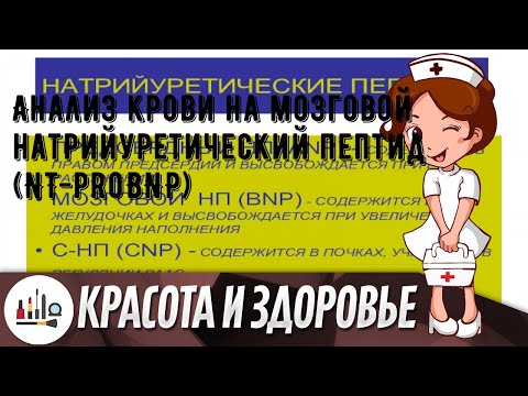 Анализ крови на мозговой натрийуретический пептид (NT-proBNP)