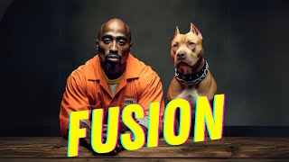 2Pac - Fusion (2023) Resimi