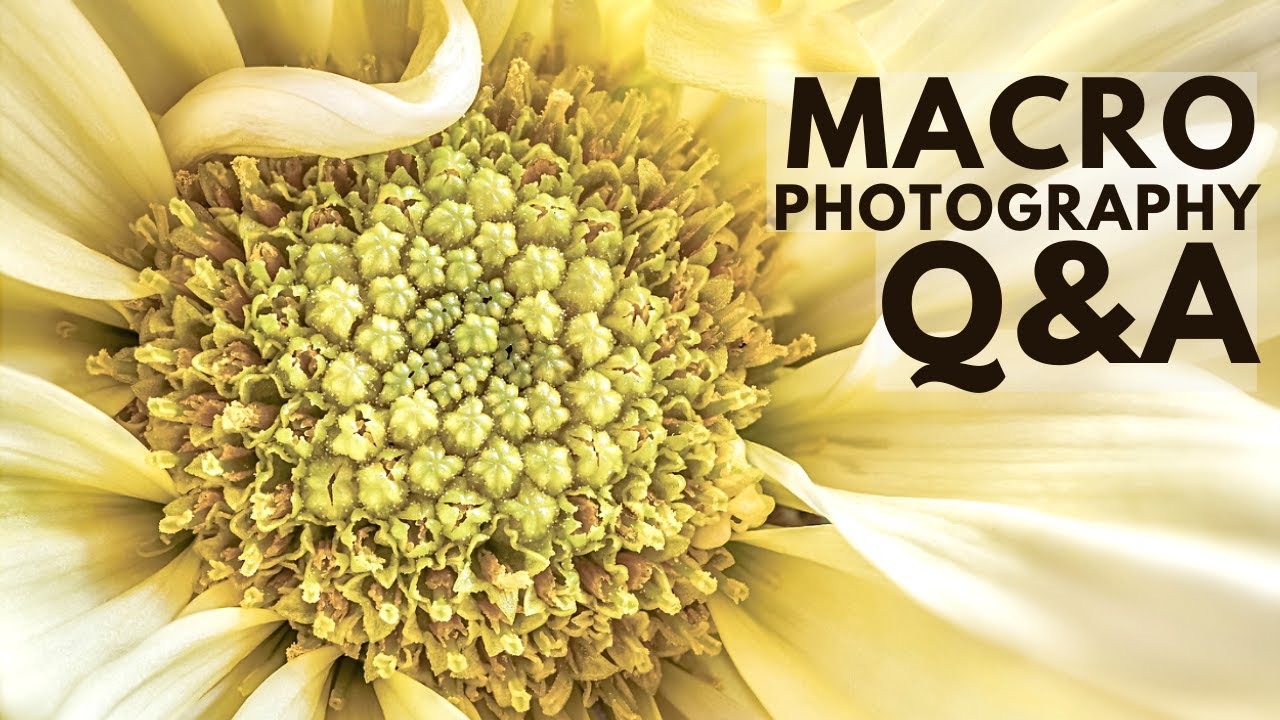 Macro LIVE: Are you struggling with Time Management? - MACRO and LANDSCAPE photography