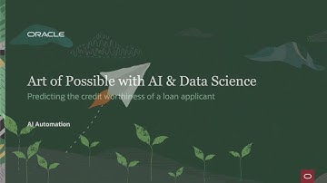 Predicting the credit worthiness of a loan applicant - AI Automation (2/4)