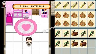 Full Nyari Semua Bahan Buat Bangun Kamar Anak || Citampi Stories