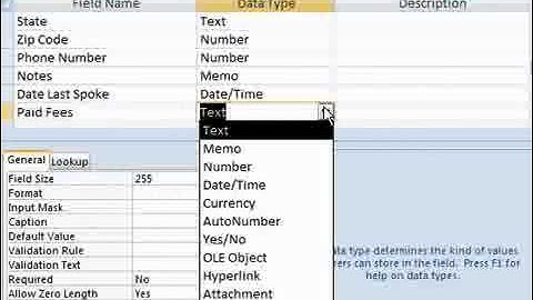 60 Use the Yes or No Data Type in Access 2007