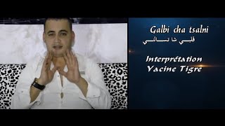 yacine tigre clip galbi cha tsalni clip officiel hd 2016 by edition avm