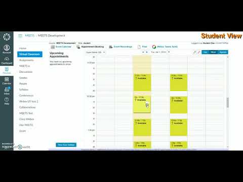 Teacher Manual 3.1. - Appointment Booking in MEETS
