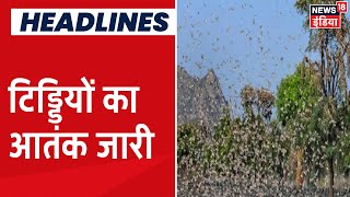 Corona के साथ साथ Rajasthan में टिड्डियों का कहर, फसलों को बचाने के उपाय में जुटे किसान
