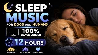 Sleep Music For Dogs And Humans 100% Black Screen 12 Hours
