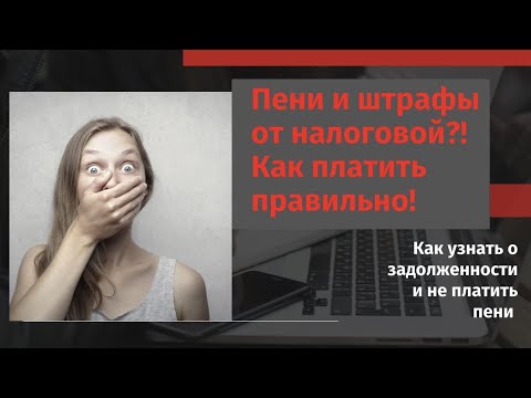 Пени и штрафы от налоговой?! Квитанции ещё нет, а пени уже начисляются?!