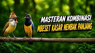 🔴 Live Masteran Kombinasi Mbeset Kasar Nembak Panjang Cocok untuk Burung Lomba