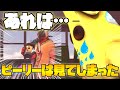 【フォートナイト】ピーリーは見てしまった…【アニメ】【Fortnite】