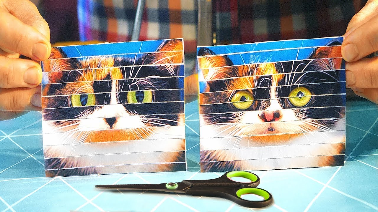 CÓMO HACER DOS FOTOS DE UNA