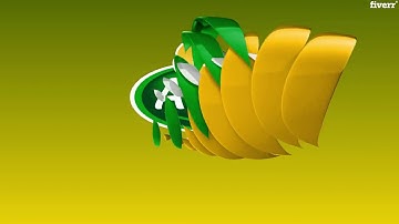 Do stunning animated logo intro videos in 24 hours - Best Logo Animation service