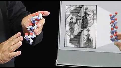 The Form and Function of Secondary Structures