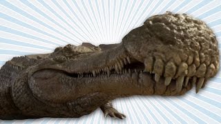 Yaşamış  En Saldırgan 14 Devasa Canavar