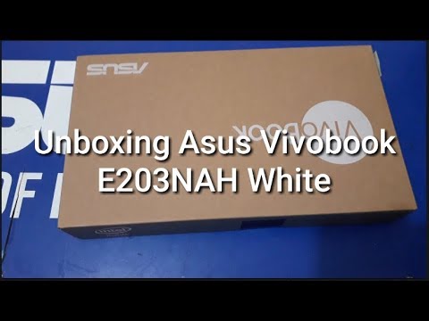 What Netbook Asus E203Nah